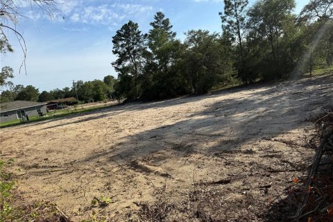 Terreno en Dunnellon, Florida № 2162140