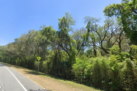 Terreno en venta en Ocklawaha, Florida № 2159587 - foto 3