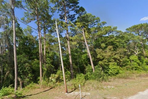 Terreno en venta en Ocklawaha, Florida № 2159587 - foto 2