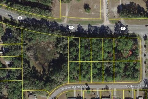 Terreno en venta en Ocklawaha, Florida № 2159587 - foto 9