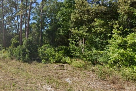 Land in Ocklawaha, Florida № 2159587