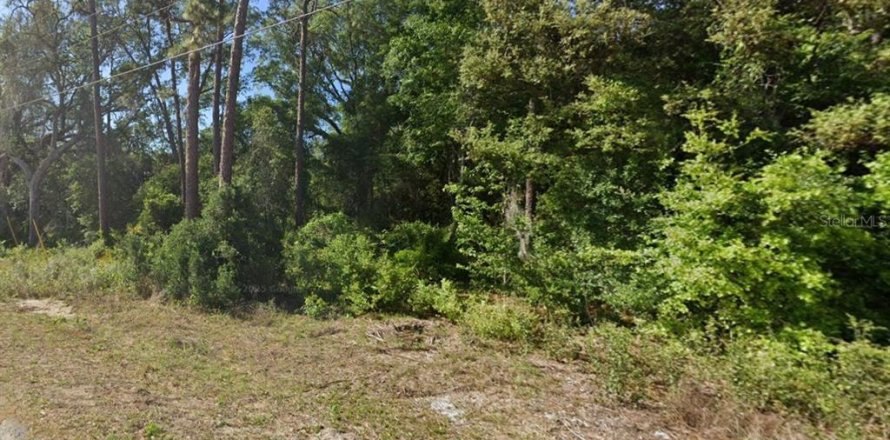 Terreno en Ocklawaha, Florida № 2159587
