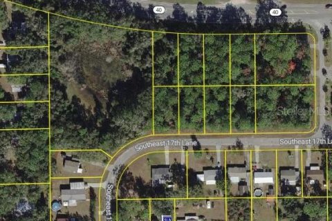 Terreno en venta en Ocklawaha, Florida № 2159587 - foto 8