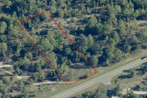 Land in Dunnellon, Florida № 2164231