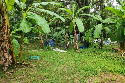 Terreno en venta en Brooksville, Florida № 1336365 - foto 4
