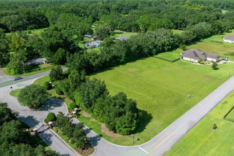 Terrain à vendre à Ocala, Floride № 1878244 - photo 8