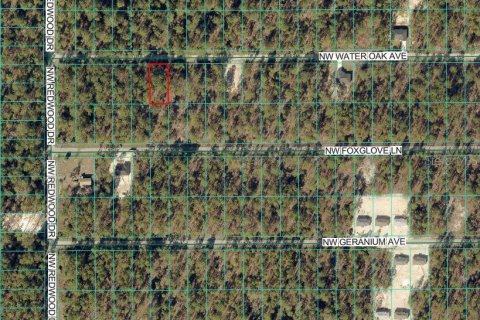 Land in Dunnellon, Florida № 2165420 - photo 3