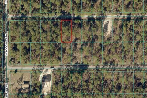 Land in Dunnellon, Florida № 2165420 - photo 2