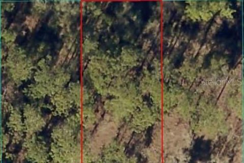 Land in Dunnellon, Florida № 2165420