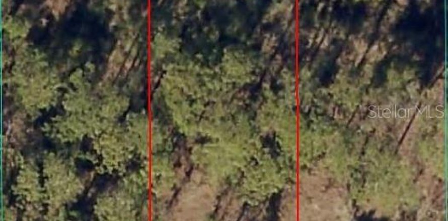 Land in Dunnellon, Florida № 2165420