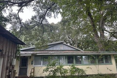 House in Trenton, Florida 3 bedrooms, 325.16 sq.m. № 2329939