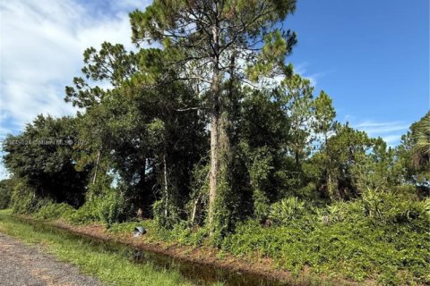 Land in Clewiston, Florida № 1852345 - photo 9