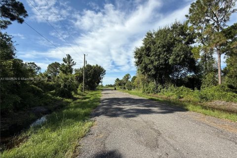 Land in Clewiston, Florida № 1852345 - photo 2