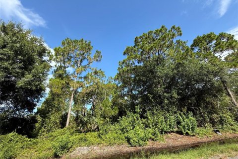Land in Clewiston, Florida № 1852345 - photo 1
