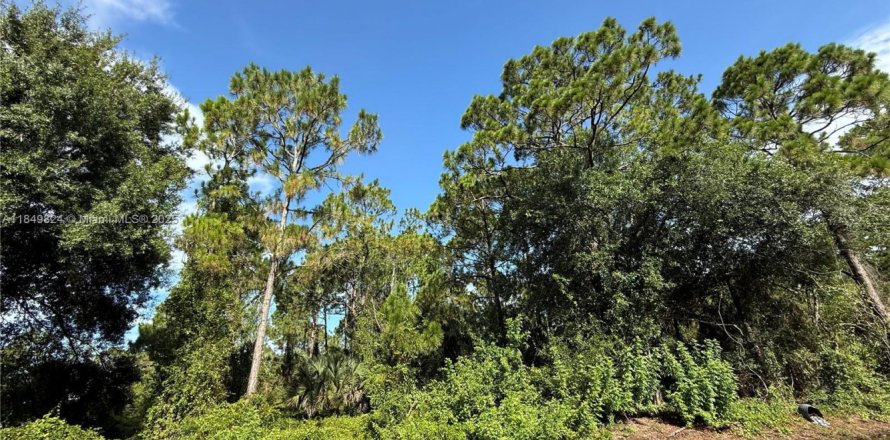 Land in Clewiston, Florida № 1852345