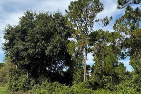 Land in Clewiston, Florida № 1852345 - photo 4