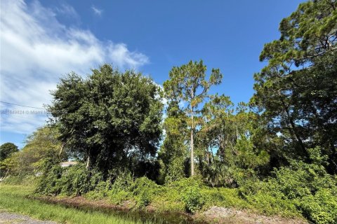 Land in Clewiston, Florida № 1852345 - photo 3
