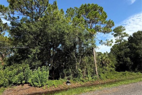 Land in Clewiston, Florida № 1852345 - photo 6