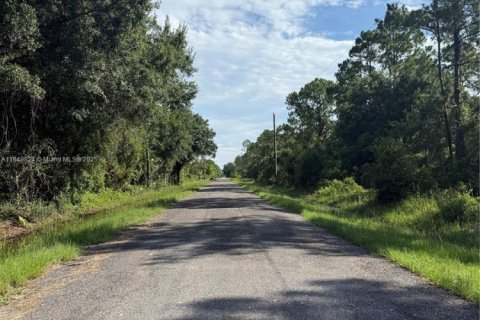 Land in Clewiston, Florida № 1852345 - photo 8