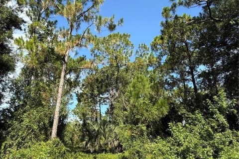 Land in Clewiston, Florida № 1852345 - photo 7
