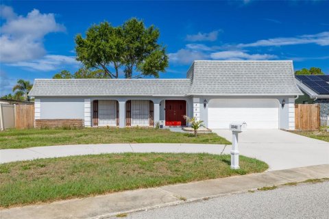 Casa en Holiday, Florida 3 dormitorios, 141.12 m2 № 2235904