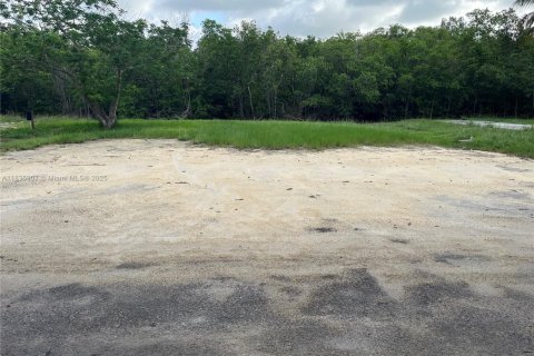 Land in Everglades, Florida № 1819882 - photo 4