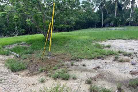 Land in Everglades, Florida № 1819882 - photo 6