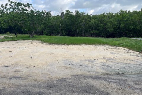 Land in Everglades, Florida № 1819882 - photo 5