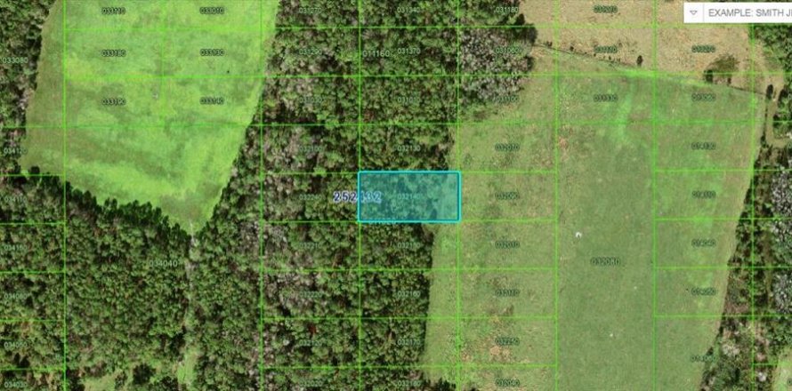 Terrain à Polk City, Floride № 2235275