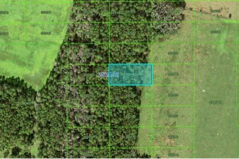 Terrain à vendre à Polk City, Floride № 2235275 - photo 3