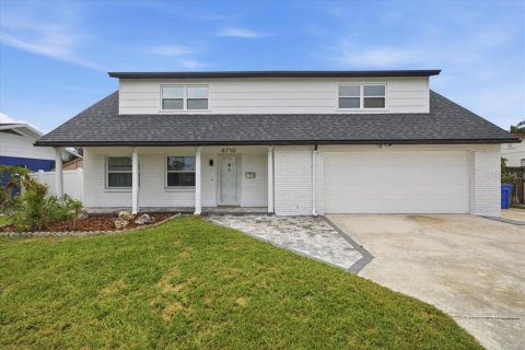 House in Tampa, Florida 4 bedrooms, 209.87 sq.m. № 2204244