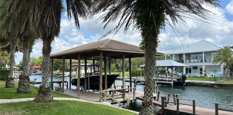 House in Crystal River, Florida 4 bedrooms, 186.45 sq.m. № 1832684