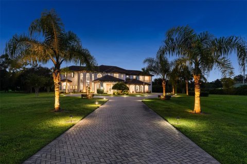 House in Brandon, Florida 6 bedrooms, 880.16 sq.m. № 2393629 - photo 3