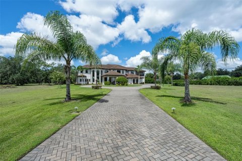 House in Brandon, Florida 6 bedrooms, 880.16 sq.m. № 2393629 - photo 9
