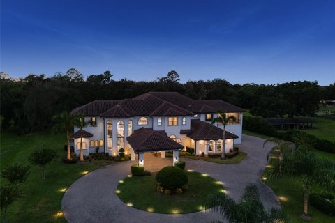 House in Brandon, Florida 6 bedrooms, 880.16 sq.m. № 2393629