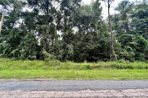 Land in Citrus Springs, Florida № 2160122