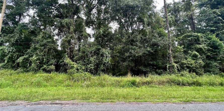 Land in Citrus Springs, Florida № 2160122