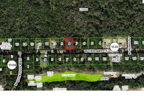 Land in Citrus Springs, Florida № 2160122 - photo 5