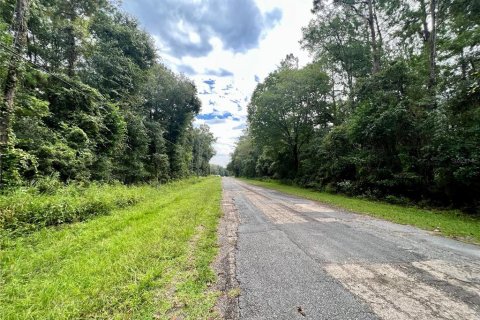Land in Citrus Springs, Florida № 2160122 - photo 3