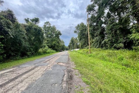 Land in Citrus Springs, Florida № 2160122 - photo 2