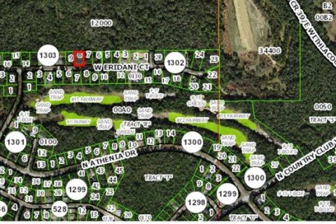 Land in Citrus Springs, Florida № 2160122 - photo 4