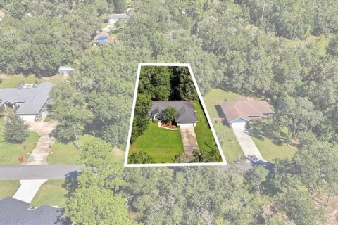 Villa ou maison à vendre à Inverness, Floride: 3 chambres, 161.28 m2 № 2415209 - photo 2