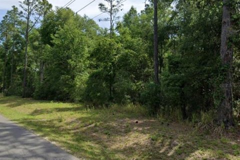 Terreno en venta en Dunnellon, Florida № 1900521 - foto 3