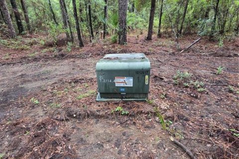 Terreno en venta en Dunnellon, Florida № 1900521 - foto 6