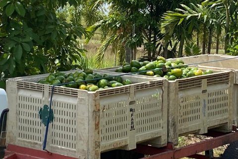 Купить коммерческую недвижимость в Майами, Флорида № 1985692 - фото 10