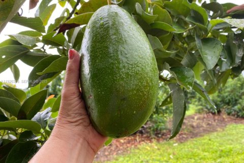 Купить коммерческую недвижимость в Майами, Флорида № 1985692 - фото 11