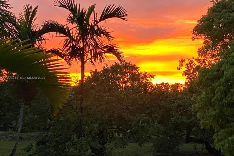 Купить коммерческую недвижимость в Майами, Флорида № 1985692 - фото 14