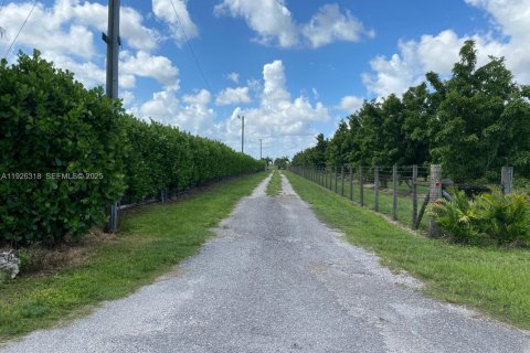 Купить коммерческую недвижимость в Майами, Флорида № 1985692 - фото 6