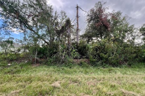 Terreno en Port Charlotte, Florida № 2229558