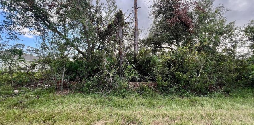 Land in Port Charlotte, Florida № 2229558